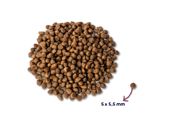 Renske Super Premium - Kitten - Verse Kalkoen met Kip