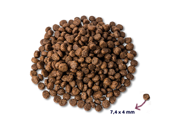Renske Super Premium - Mini - Verse Kip en Lam