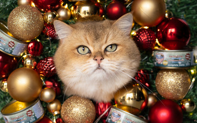 Kerst
