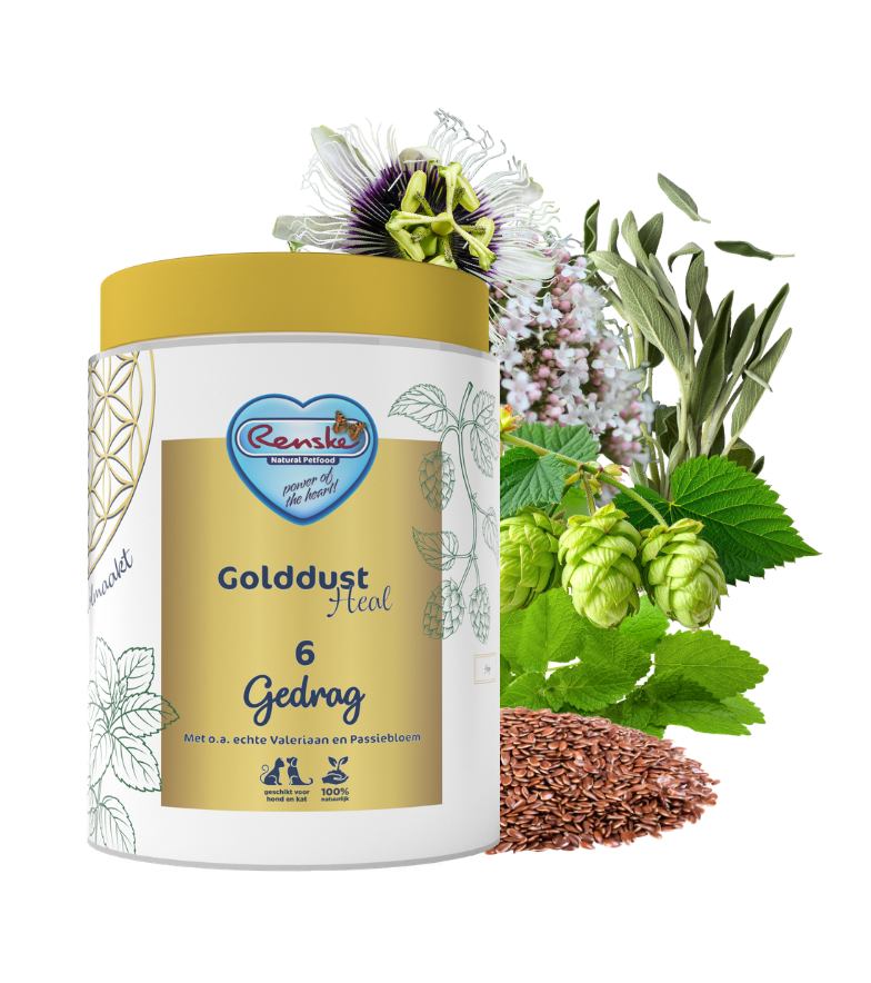 Golddust Heal 6 - Gedrag