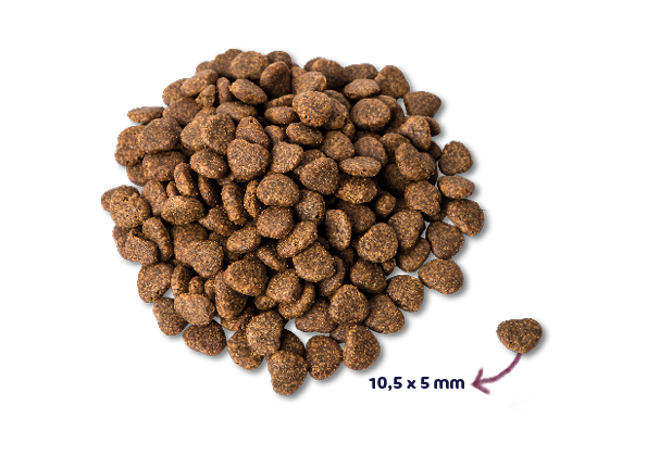 Renske Super Premium Kat - Verse Eend
