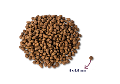 Renske Super Premium - Kitten - Verse Kalkoen met Kip