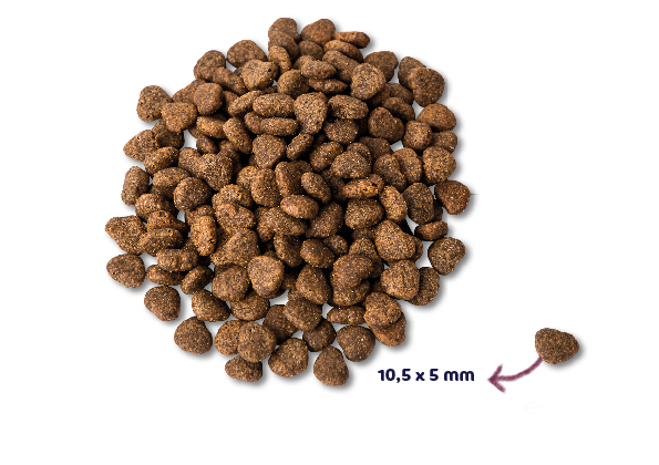 Renske Super Premium Kat - Verse Kip