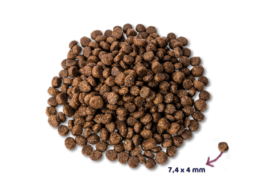 Renske Super Premium - Puppy - Verse Kip en Lam